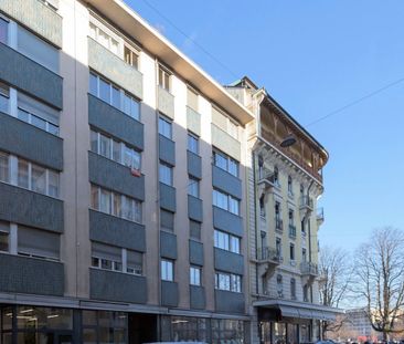 Plaine de Plainpalais - Université - Photo 2