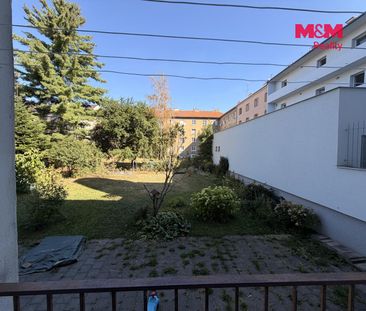 Pronájem bytu 3+1 60 m² - Fotografie 5