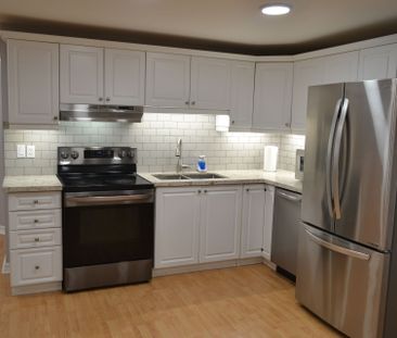 For Lease - 251 Deerglen Terrace Unit# BSMT, Aurora, Ontario - Photo 3