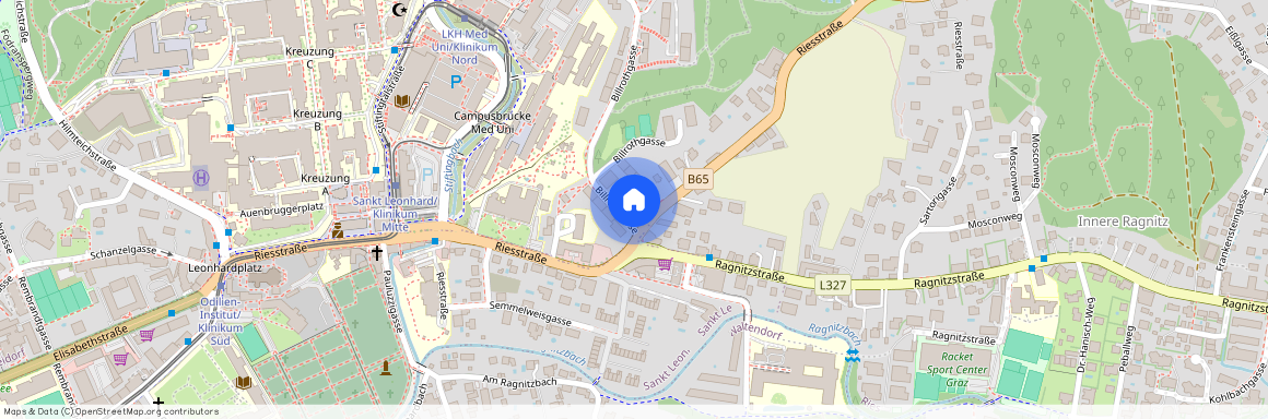 8047 Graz - Billrothgasse 51/8