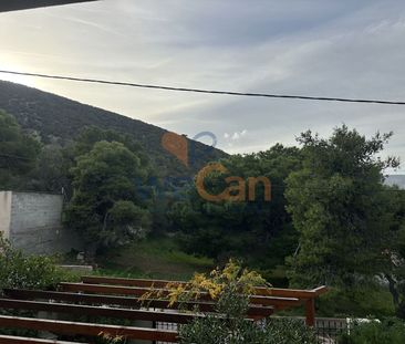 Διαμέρισμα για ενοικίαση Μαρκόπουλο - Photo 1