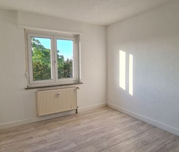 Location Appartement 3 pièces 70m² ST LOUIS 68300 - Photo 3