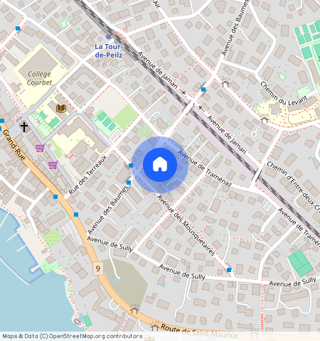 Avenue des Baumes **, 1814, La Tour-De-Peilz