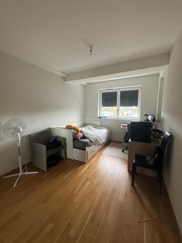 Appartement de 6 pièces à Carouge - Photo 3