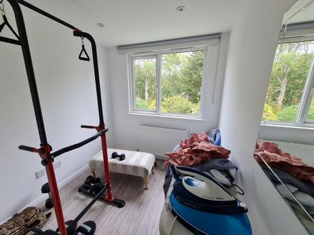 5 bedroom semi-detached bungalow to rent - Photo 4