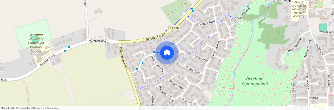 Richard Hicks Drive, Dereham, Scarning