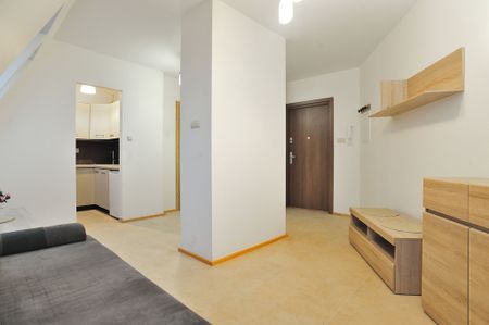 (Symbol 437392) - Photo 4