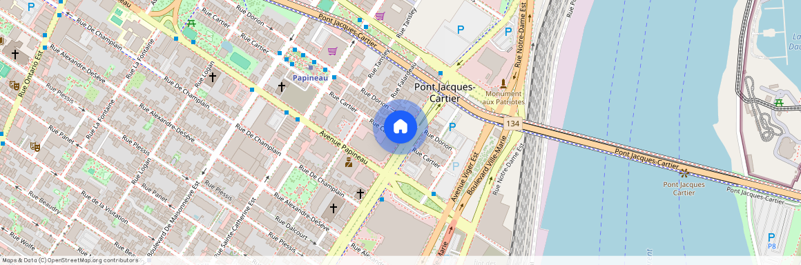 1869 Boulevard René-Lévesque Est, Ville-Marie, Montreal, H2K 2M2