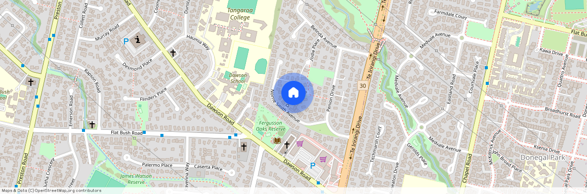 Dosina Place, Flat Bush, Manukau City