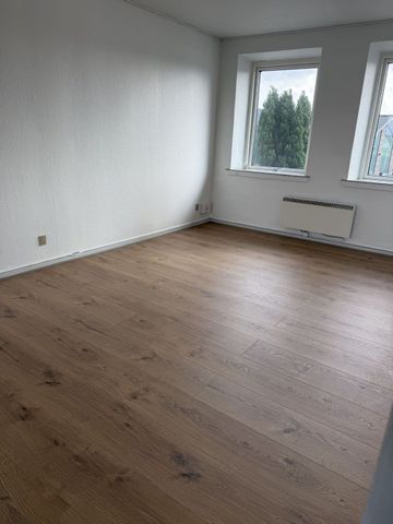 Pæn lejlighed i hyggelige omgivelser - Photo 4