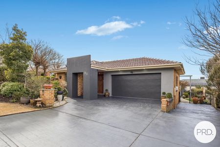 53 Proserpine Circuit, Amaroo ACT 2914 - House For Rent - $950 | Domain - Photo 3