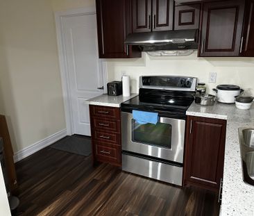 For Lease - 426 Wycliffe Avenue Unit# Basment, Vaughan, Ontario - Photo 5