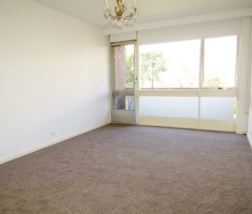 When space and location is what you need! - Photo 5