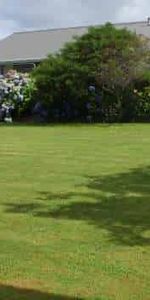 Regan Street, Stratford - Photo 4