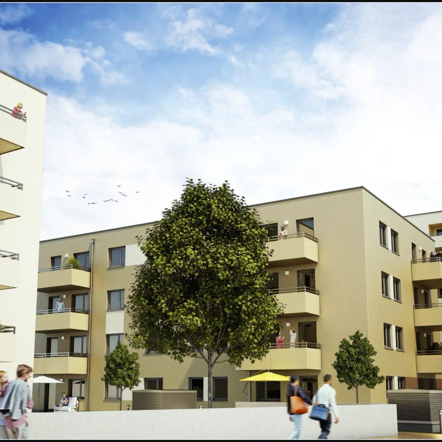 3-Zimmer-Wohnung mit Balkon, Terrasse und Garten, Top 1 - Photo 1