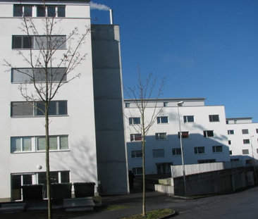 "3.5-Zimmer-Attikawohnung mit grosszügiger Terrasse" - Foto 2