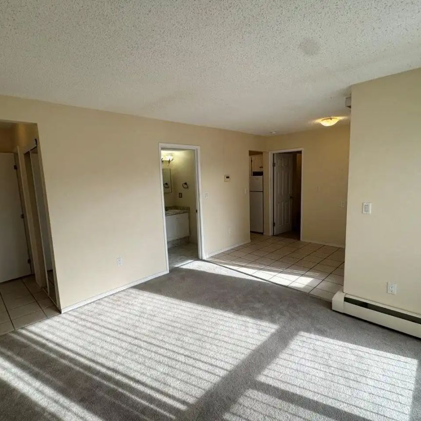 Lovely, Bright & Clean 1 Bedroom Condo (RP023) — Lovely, Bright & Clean 1 Bedroom Condo (RP023) - Photo 1