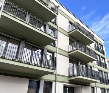 2- Zimmer Wohnung zur Miete - Photo 1