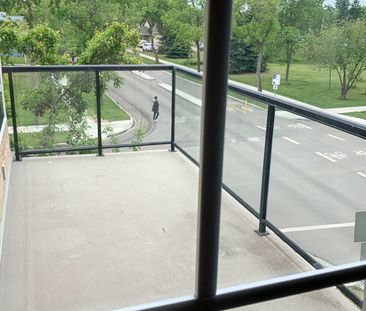 2 Bed + Den Condo For Rent In Westmount - Photo 4