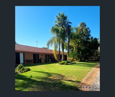 Unit 5, 133 Jacaranda Street, Red Cliffs, Vic 3496 - Photo 1