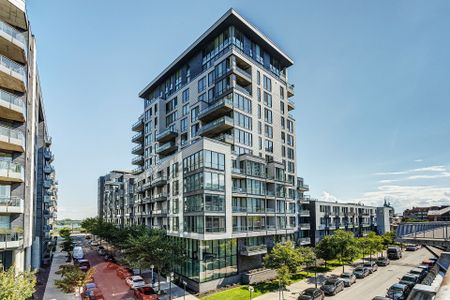 Appartement à louer, Montréal (Ville-Marie) - Photo 5