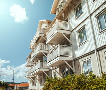 Emanuel Bagares gata 6 - Foto 2