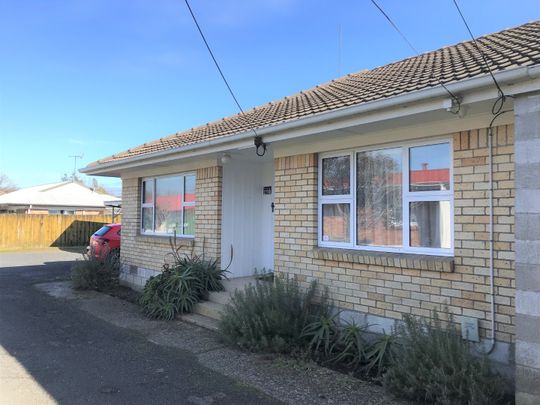 170A Nixon Street, Hamilton East — - Photo 1