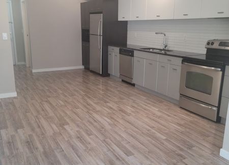 2 Bedroom Condo at The Verve - Photo 2