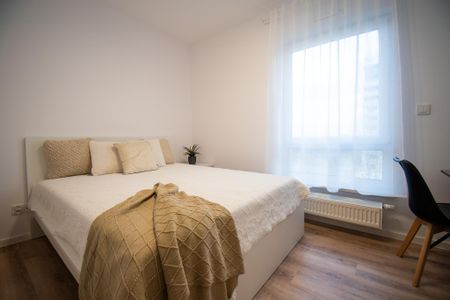 Poznań, Winogrady ul. Naramowicka - Photo 3