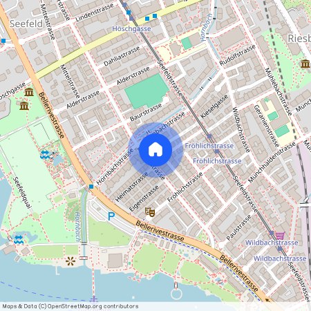 8008, Zurich, Dufourstrasse, 161