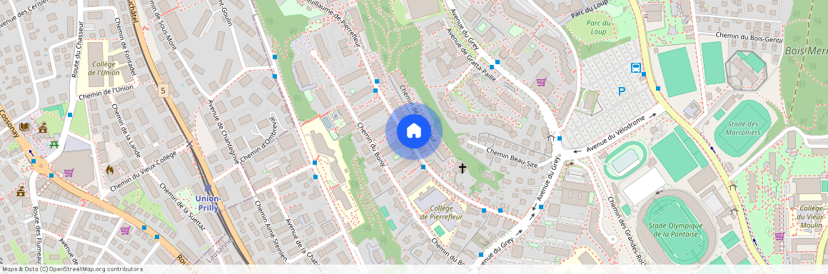 Pierrefleur b 32b, 1004, Lausanne