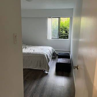 One bedroom apartment for sublet to one student - Photo 4