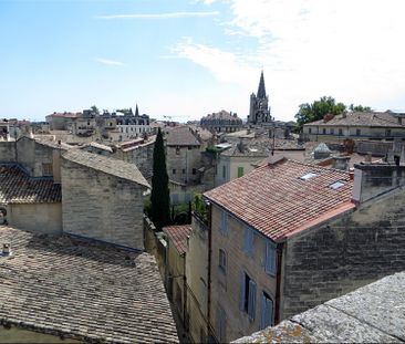 AVIGNON INTRA MUROS: Terrasse avec vue unique sur le Palais des Pap... - Photo 5