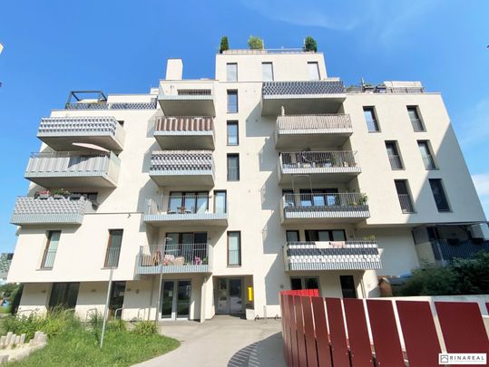 NEUBAU I Schöne 2 Zimmerwohnung mit Balkon | Einbauküche I 1.Dachgeschoss mit Lift | Walter-Jurmann-Gasse | ab 1. Juli 2026 - Foto 1