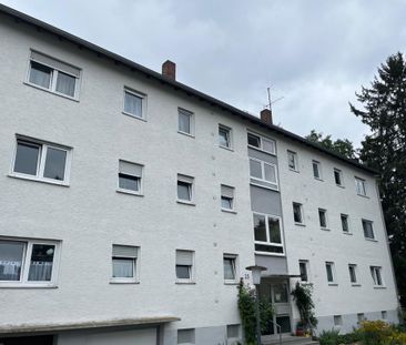 Helle 3-Zimmer-Wohnung in Erbach ab sofort zu vermieten! - Foto 3