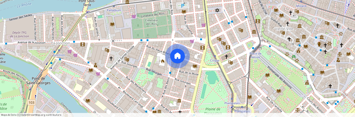 1205, Genève, Rue du Vieux-Billard, 7