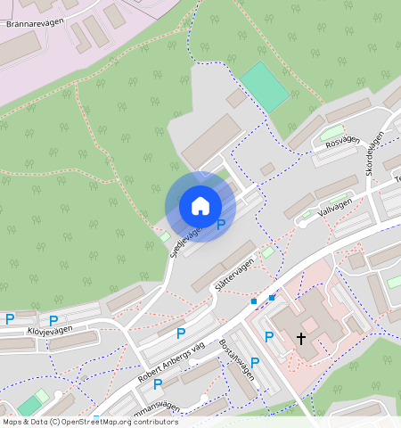 Svedjevägen **, Ronna