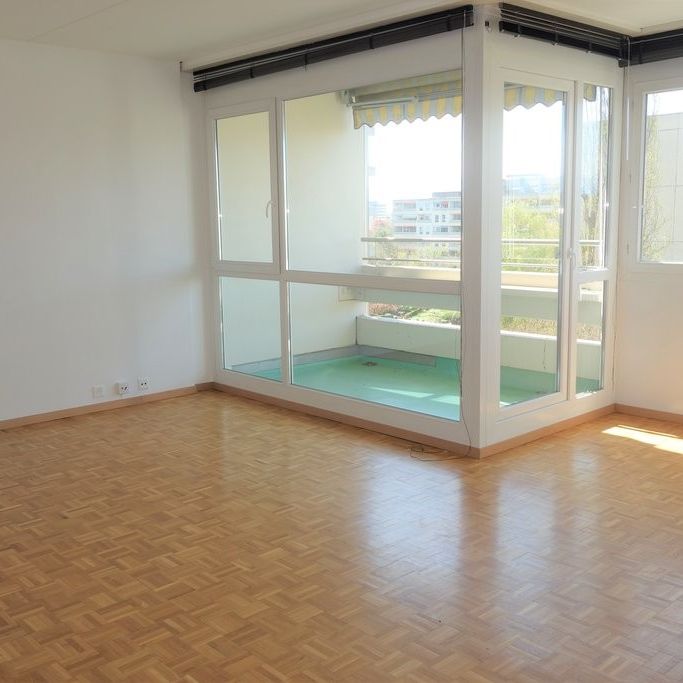 Quartier de la Gradelle - Chêne-Bougeries - Photo 1