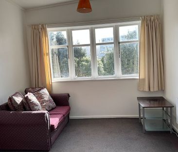 Beautiful 1 bedroom apartment in Mt VIC - Photo 6