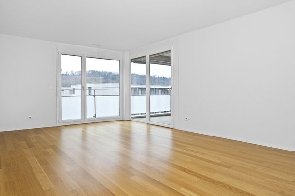 Your common retreat modern living in Rheinfelden! - Foto 1