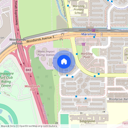 405 Woodlands Street 41 (730405), Singapore