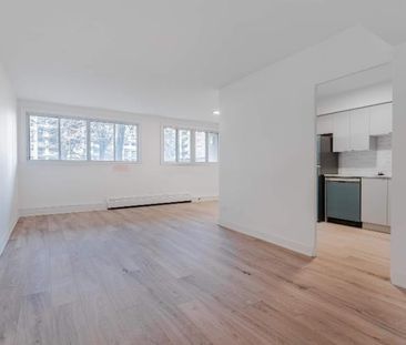 1 CH - 1 SDB - St-Laurent - $1,499 /mo - Photo 4