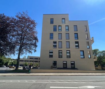 Moderne 2- Zimmer Wohnung für Jung und Alt! - Photo 3