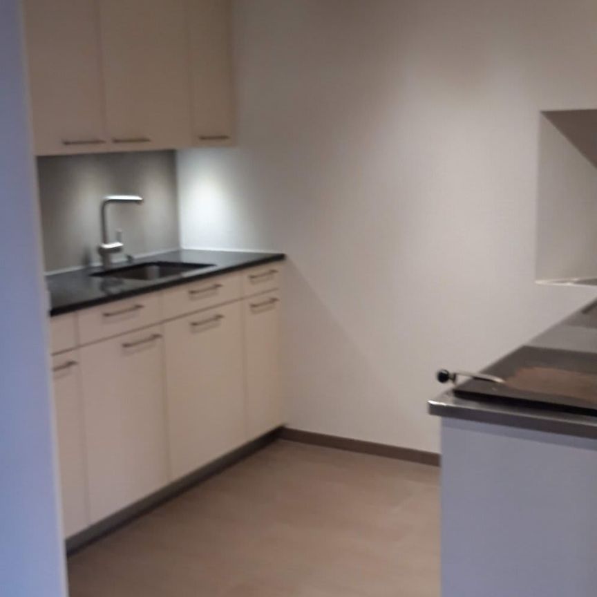 2.5 Zimmer, 65 m² - Photo 1