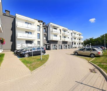 Piła, Zamość - Photo 6