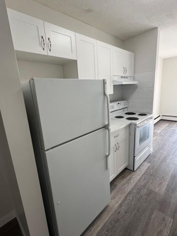 FULLY RENOVATED TWO BEDROOM ~ SMALL PET FRIENDLY! - Photo 4