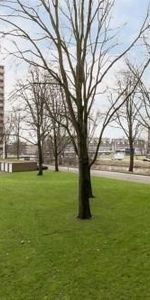 Langswater, 1069 Amsterdam, Nederland - Photo 4