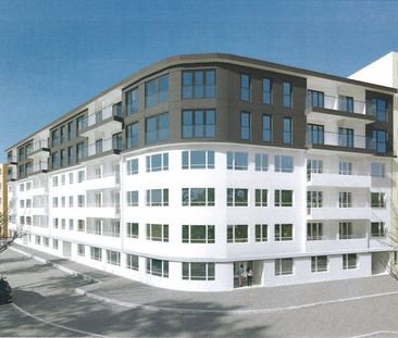 Bel appartement rénové de 3 pièces au calme à Carouge - Photo 3