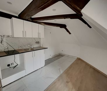 Location Appartement 1 pièce 22m² SELESTAT 67600 - Photo 1