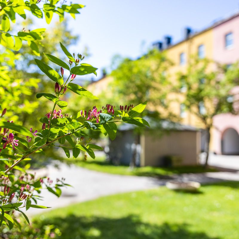 Enebygatan 13, Centrum Norr - Photo 1